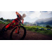 Descenders [NSW] (D)