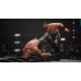 AEW: Fight Forever [PS4/Upgrade to PS5] (D)