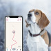 Tractive Hunde Tracker GPS DOG 4 - coffee