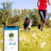 Tractive Hunde Tracker GPS LTE - white