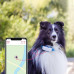 Tractive Hunde Tracker GPS LTE - white