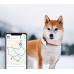 Tractive Hunde Tracker GPS LTE - white