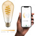 Hombli Filament Bulb CCT E27 ST64 - amber