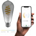 Hombli Filament Bulb CCT E27 ST64 - smokey