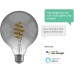 Hombli Filament Bulb CCT E27 G95 - smokey