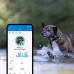 Tractive Hunde Tracker GPS DOG 4 - midnight blue