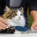 Tractive GPS CAT 4 - Collar Attachment [3 Stk.]
