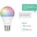 Hombli Smart Bulb E27 (9W) RGB + CCT - Duo Pack